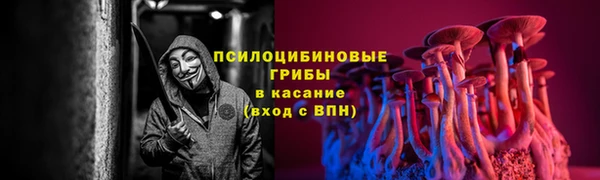 2c-b Арсеньев