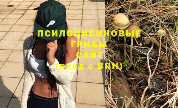2c-b Арсеньев