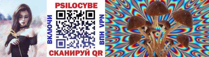Псилоцибиновые грибы Cubensis  Новозыбков 